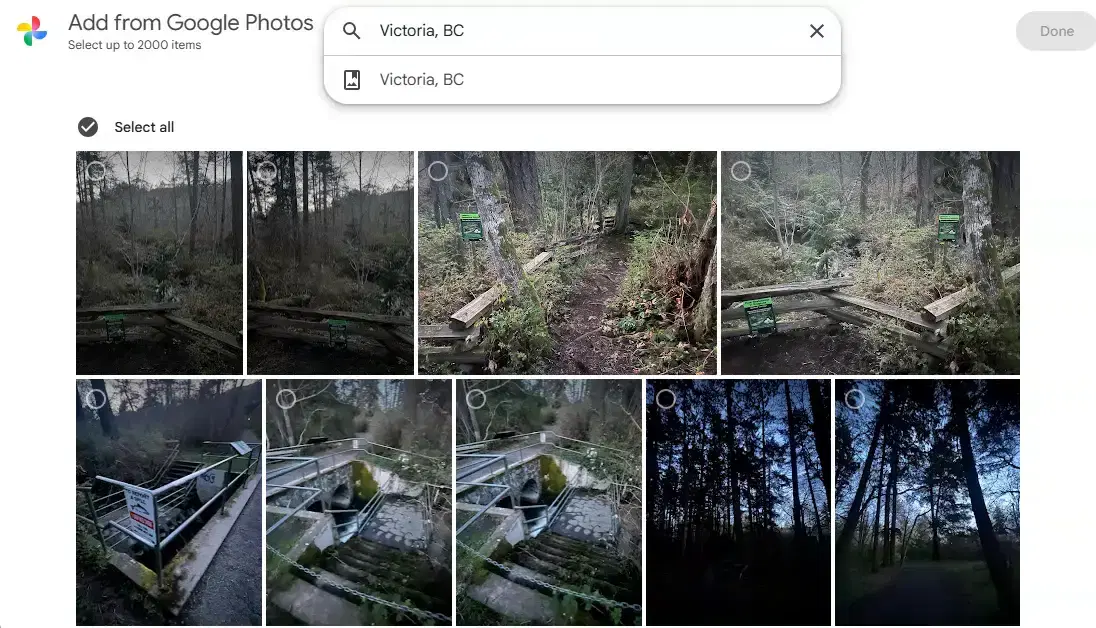 Google Photos Picker search used to find an album before selecting photos
